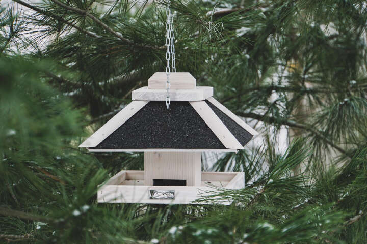 PATKAR Quadratisches Futterhaus Kiefernholz